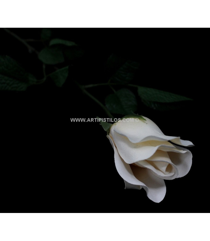 FABRIC ROSE