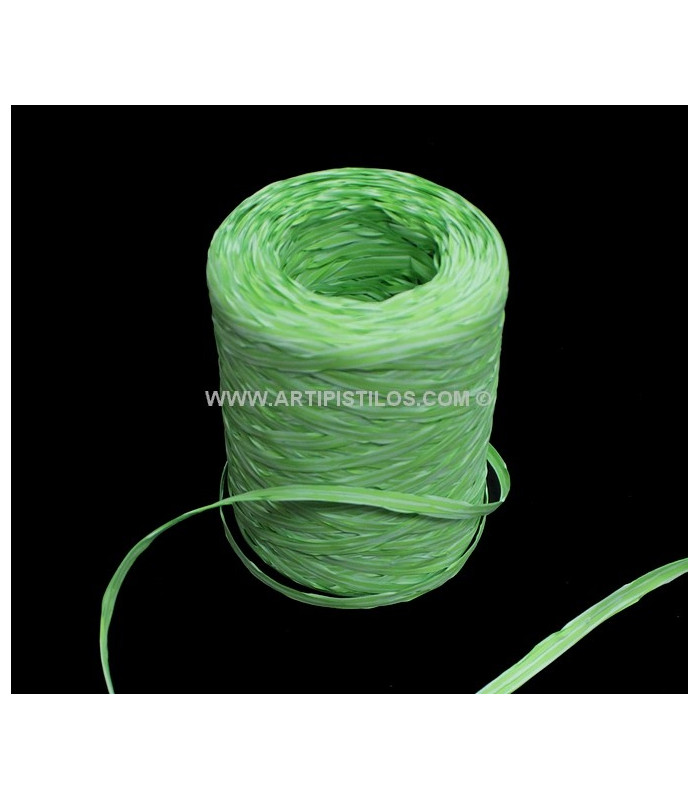 RAFIA BICOLOR 1 MT. X 5 MM.