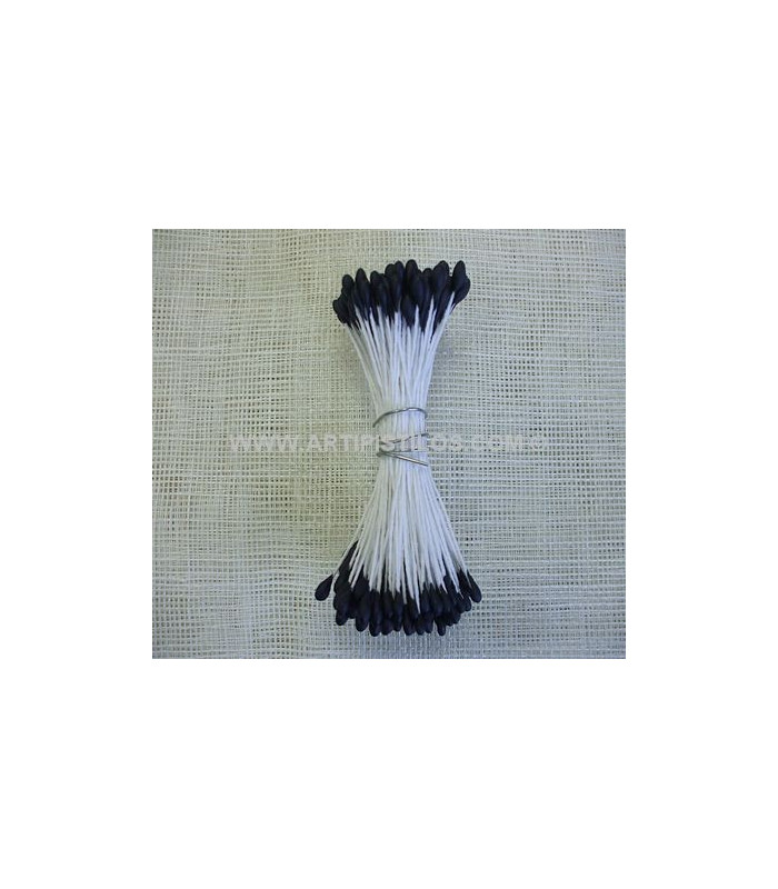 STAMEN DOUBLE LARGE