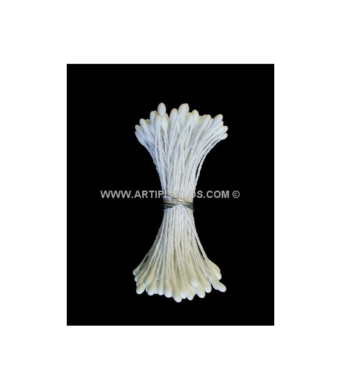 STAMEN DOUBLE LARGE