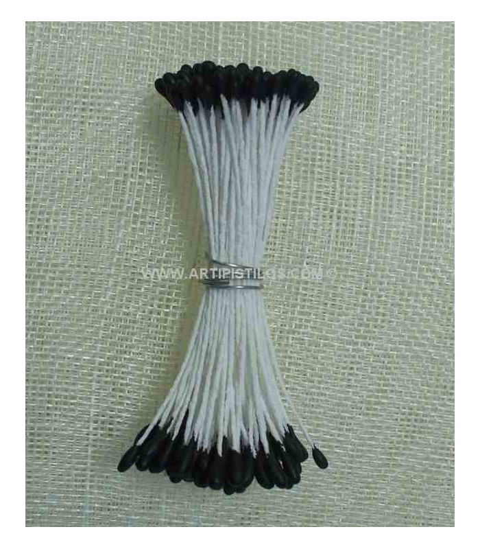 STAMEN DOUBLE LARGE