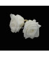 PRESERVED ROSE 4 CMS.