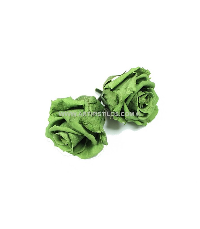 PRESERVED ROSE 4 CMS.