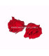 PRESERVED ROSE 4 CMS.