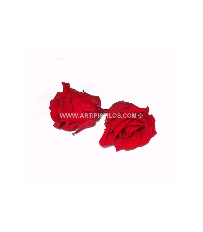 PRESERVED ROSE 4 CMS.