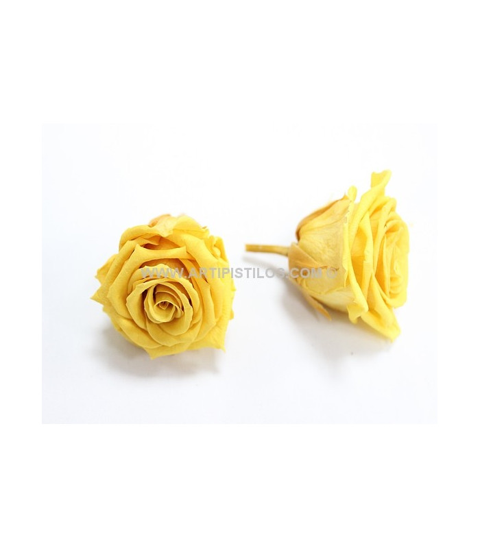 PRESERVED ROSE 4 CMS.