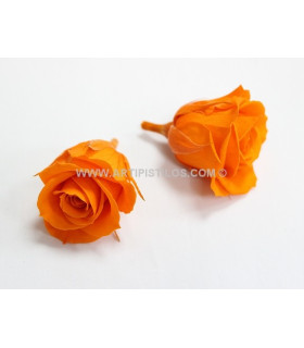 ROSA PRESERVADA 4 CMS.