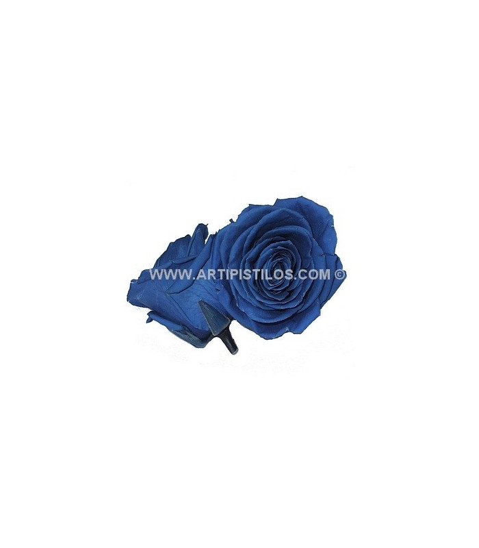 PRESERVED ROSE 4 CMS.