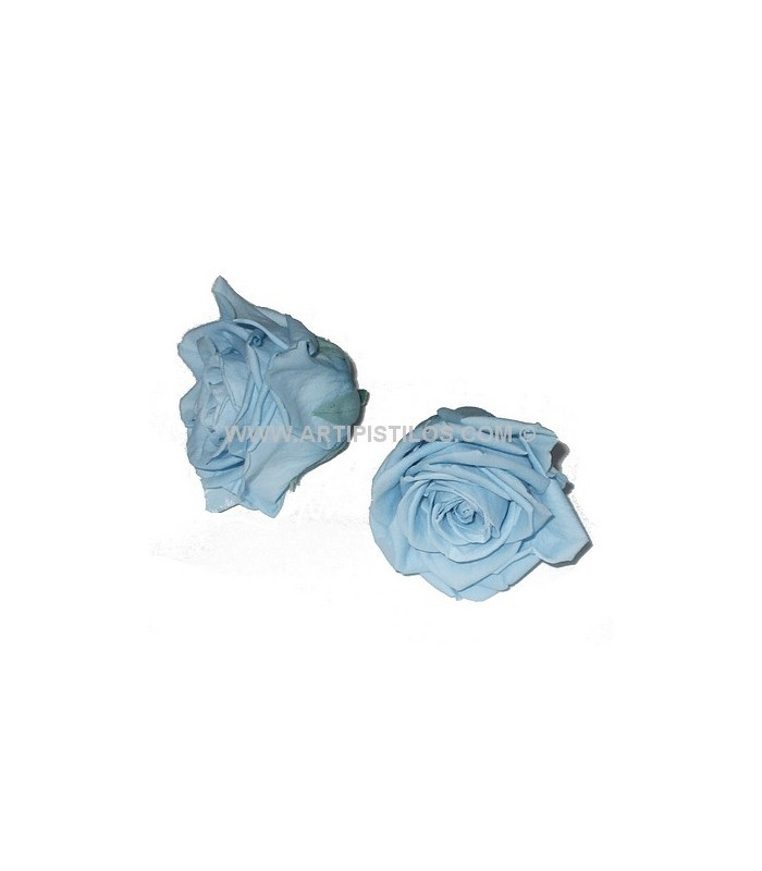PRESERVED ROSE 4 CMS.