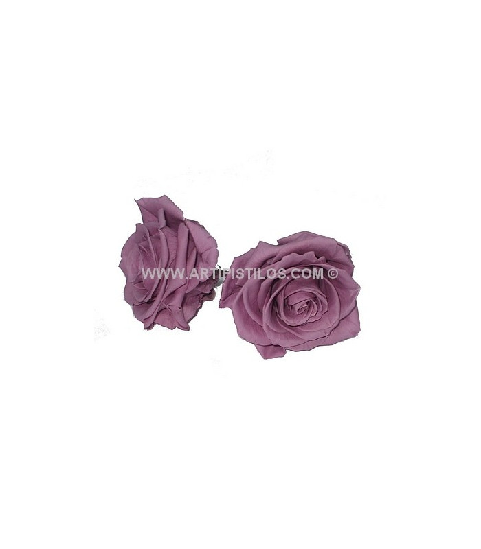 PRESERVED ROSE 4 CMS.