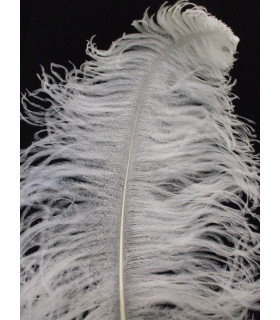 OSTRICH FEATHER MALE WING 60-65 CMS.