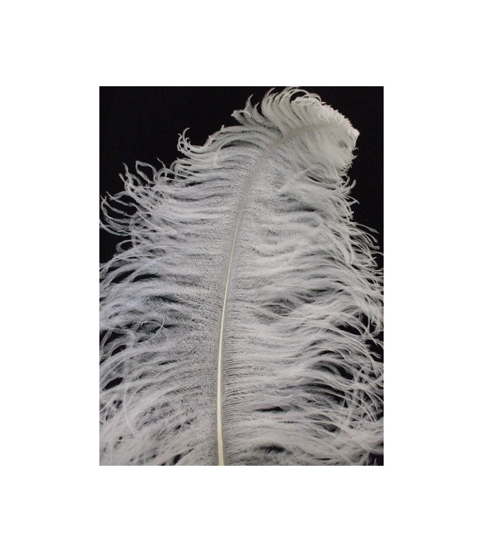OSTRICH FEATHER MALE WING 60-65 CMS.