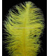 OSTRICH FEATHER FIRST QUALITY 50-55 CMS.