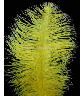 OSTRICH FEATHER FIRST QUALITY 50-55 CMS.