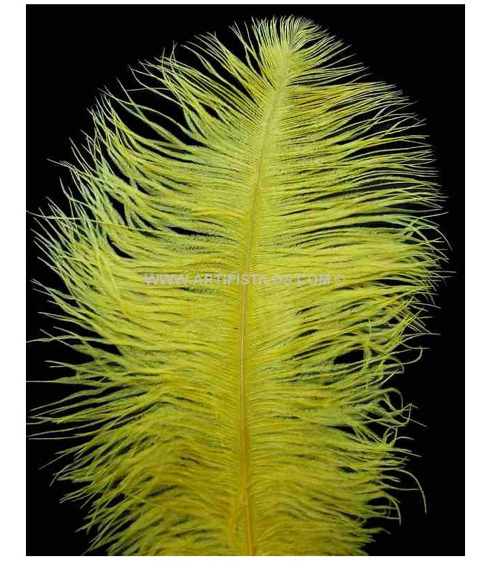 OSTRICH FEATHER FIRST QUALITY 50-55 CMS.