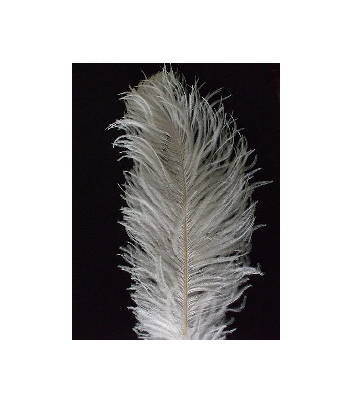 OSTRICH FEATHER FIRST QUALITY 50-55 CMS.