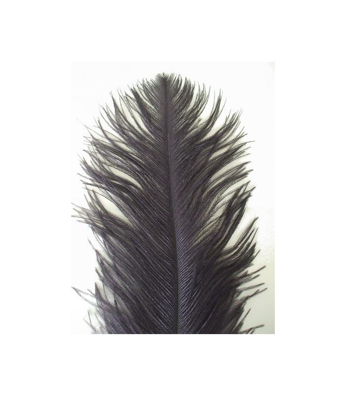 OSTRICH FEATHER FIRST QUALITY 50-55 CMS.
