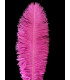 OSTRICH FEATHER FIRST QUALITY 50-55 CMS.