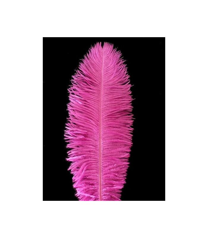 OSTRICH FEATHER FIRST QUALITY 50-55 CMS.