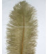 OSTRICH FEATHER FIRST QUALITY 50-55 CMS.