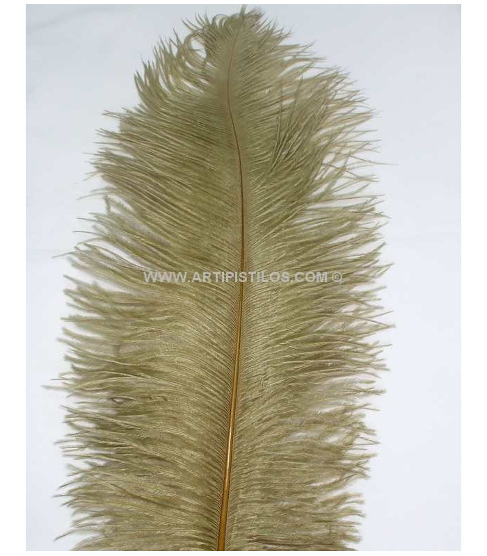 OSTRICH FEATHER FIRST QUALITY 50-55 CMS.
