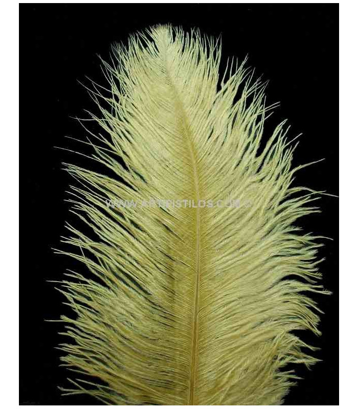 OSTRICH FEATHER FIRST QUALITY 50-55 CMS.