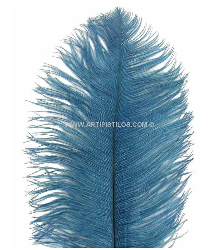 OSTRICH FEATHER FIRST QUALITY 50-55 CMS.