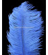 OSTRICH FEATHER FIRST QUALITY 50-55 CMS.