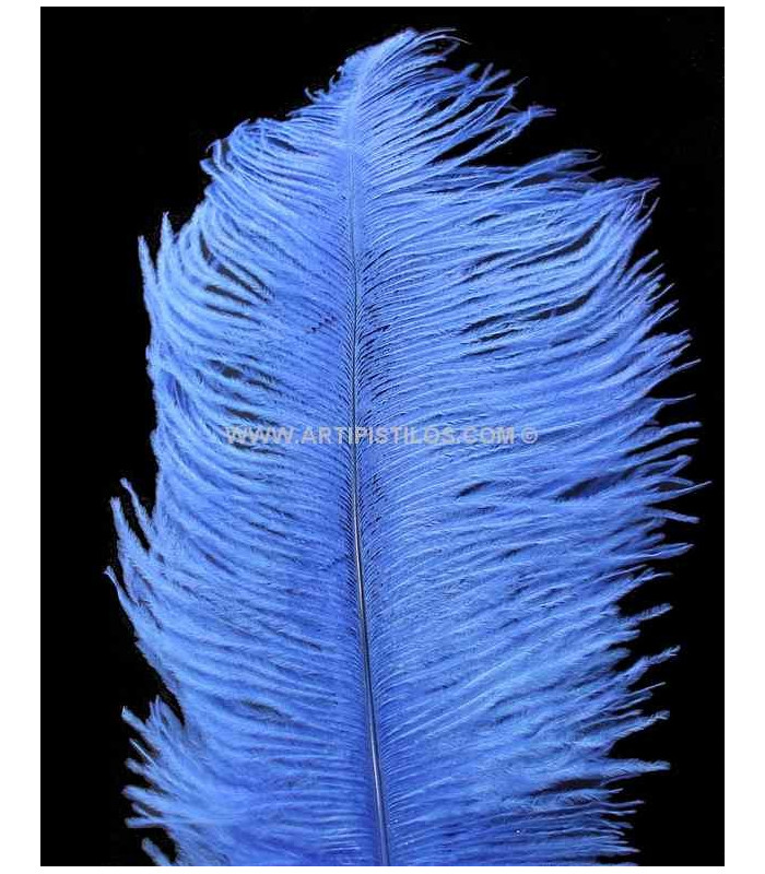 OSTRICH FEATHER FIRST QUALITY 50-55 CMS.