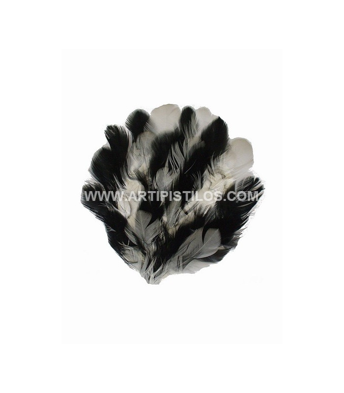 BASE DE PLUMAS