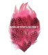 BASE DE PLUMAS