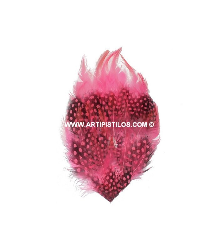 BASE DE PLUMAS