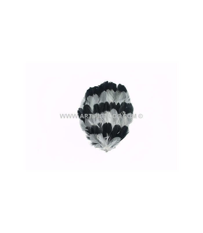 BASE DE PLUMAS