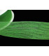 YUTE RIBBON 17 MM.