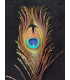 PLUMA DE PAVO REAL 20 - 25 CMS.