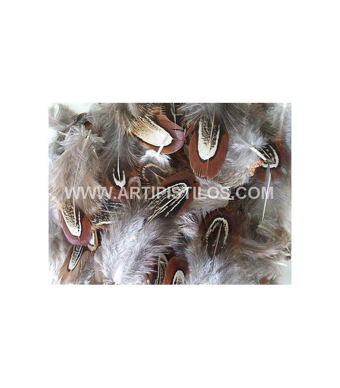 PACKET OF APPROX. 12 PHEASANT