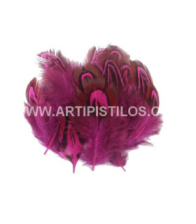 Bolsa De 12 Plumas Aprox. De Faisán Fucsia 3 - 5 Cms De Largo - colores para