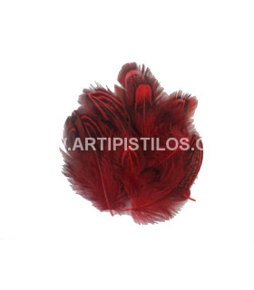 Bolsa De 12 Plumas Aprox. De Faisán Rojo 3 - 5 Cms De Largo - colores para
