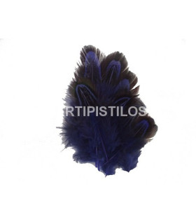 Bolsa De 12 Plumas Aprox. De Faisán Royal 3 - 5 Cms De Largo - colores para