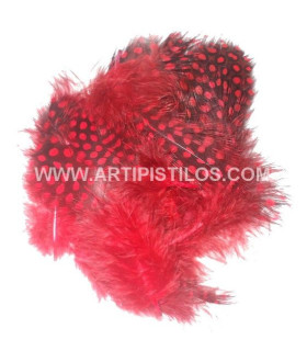 GUINEA FOWL FEATHERS PACKET