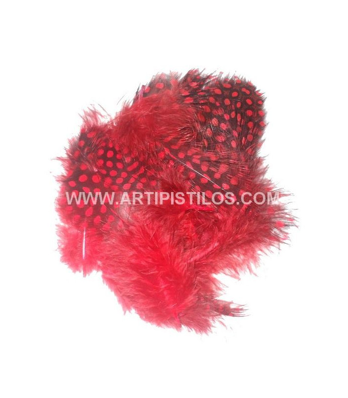 BOLSA DE PLUMAS DE GALLINA DE GUINEA