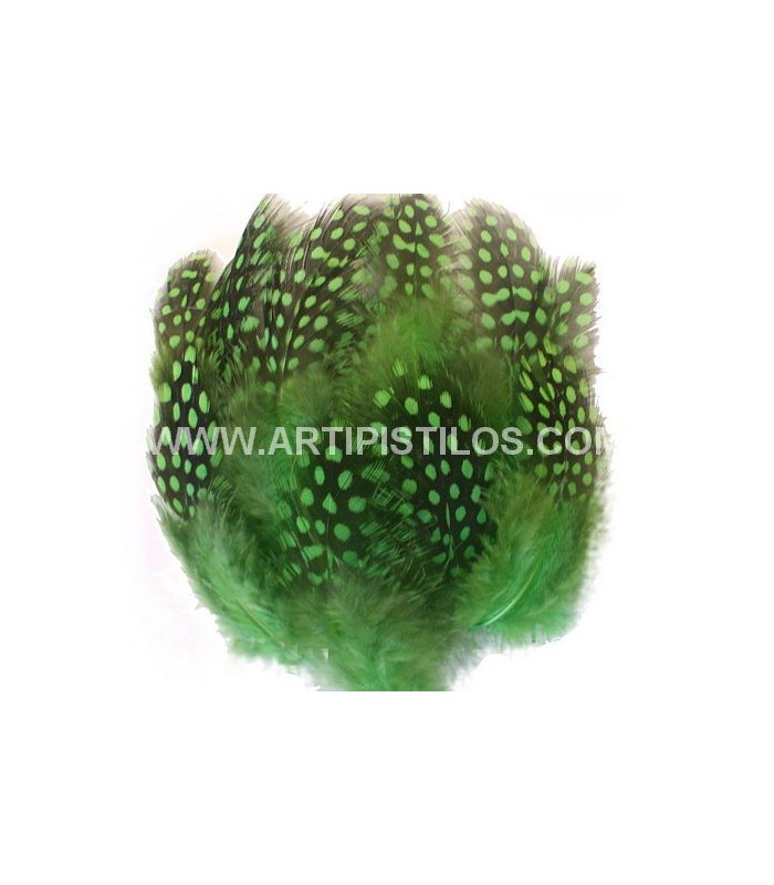 BOLSA DE PLUMAS DE GALLINA DE GUINEA