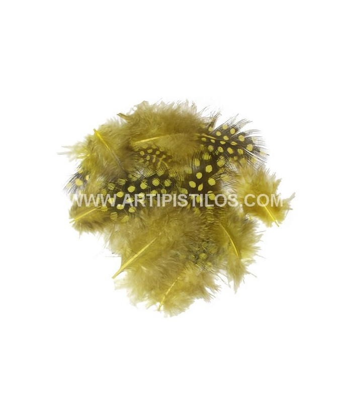 BOLSA DE PLUMAS DE GALLINA DE GUINEA