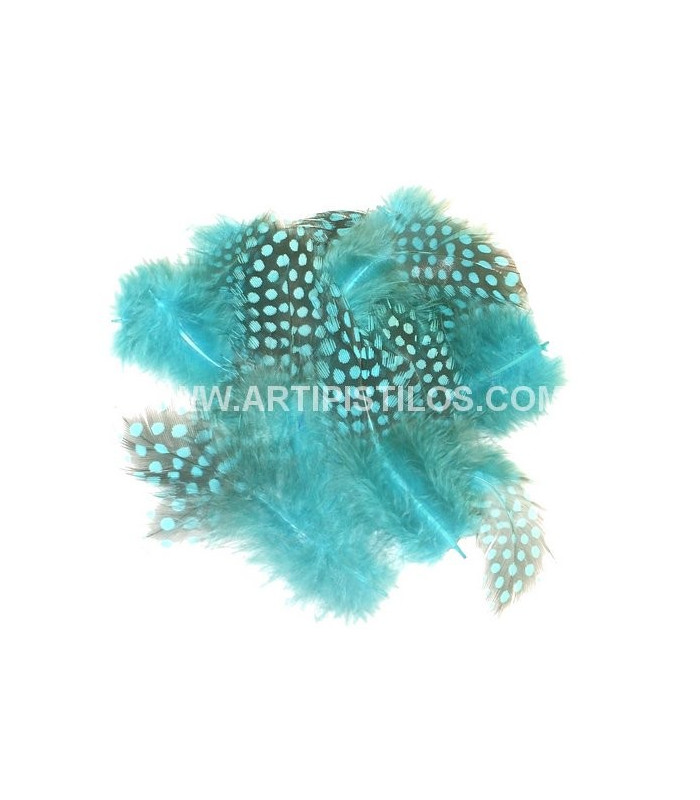 BOLSA DE PLUMAS DE GALLINA DE GUINEA