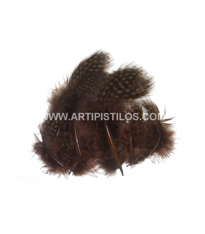 SACO DE PENAS DE GALINHA DE GUINEA