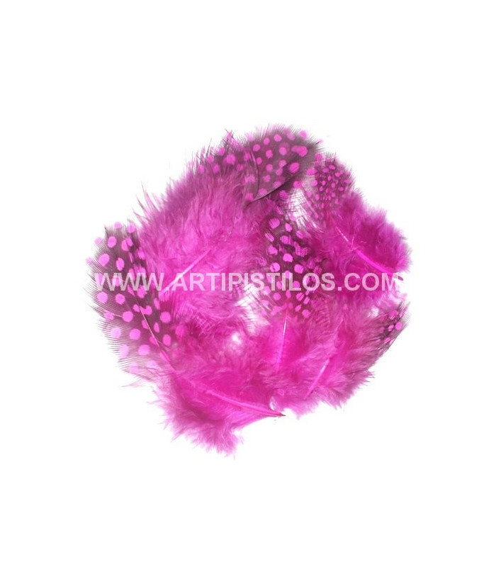 BOLSA DE PLUMAS DE GALLINA DE GUINEA