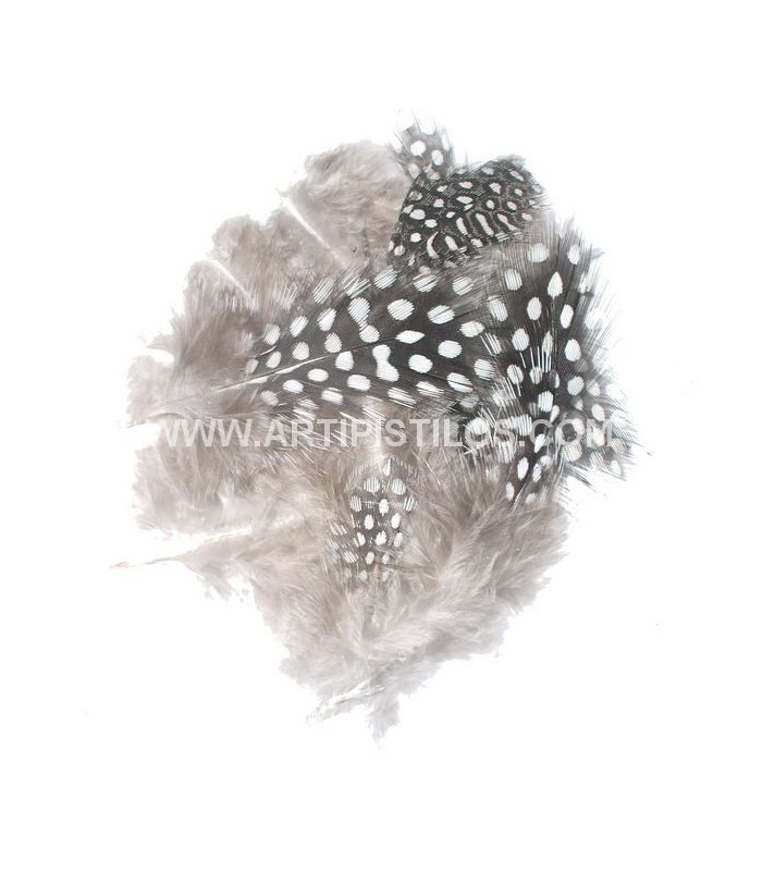 BOLSA DE PLUMAS DE GALLINA DE GUINEA