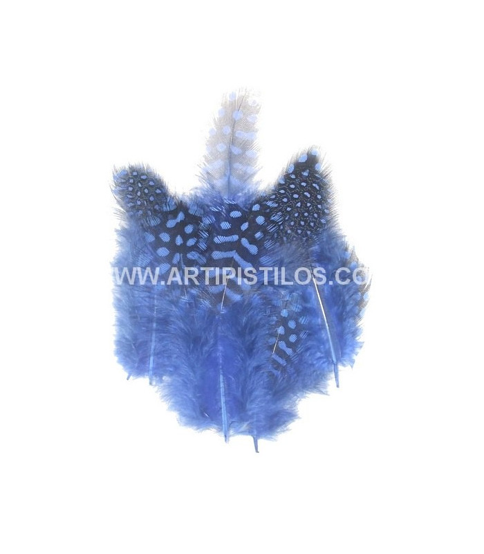 BOLSA DE PLUMAS DE GALLINA DE GUINEA