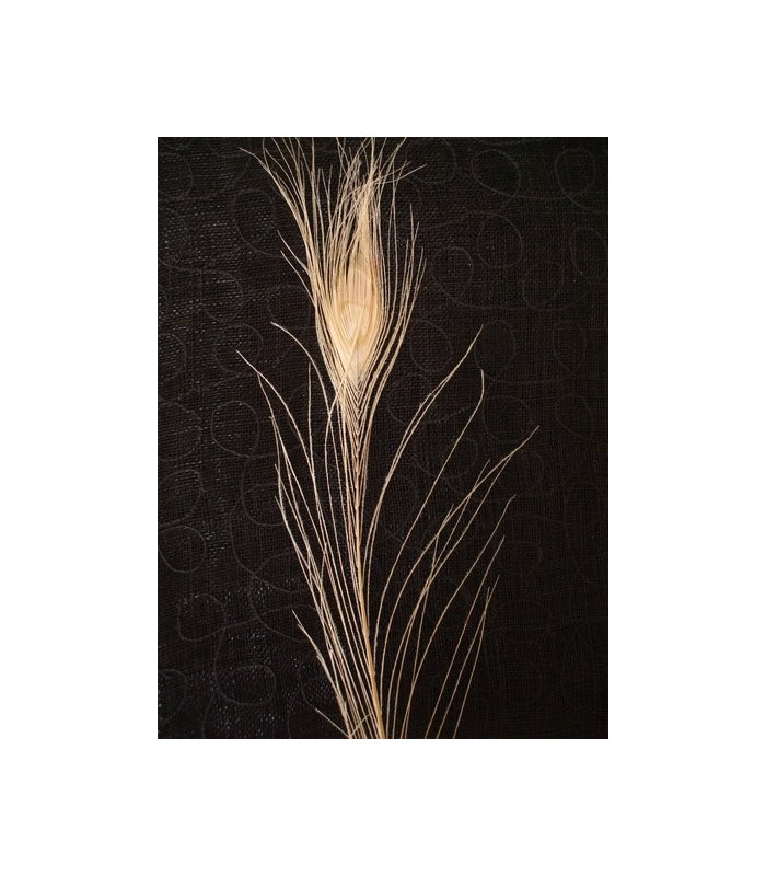 BLEACHED PEACOCK FEATHER 95 - 100 CMS.